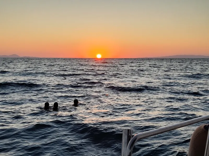 Ospiti in acqua al tramonto, con il sole sull'orizzonte